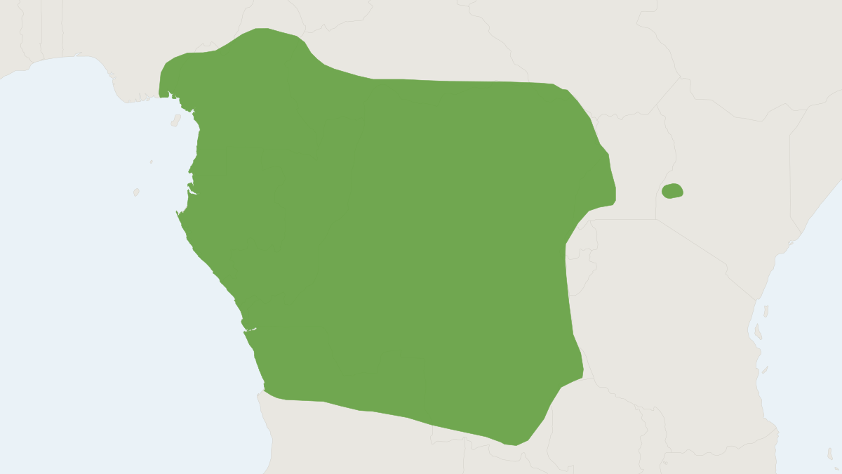 Range map of the Giant Otter Shrew (Potamogale velox)
