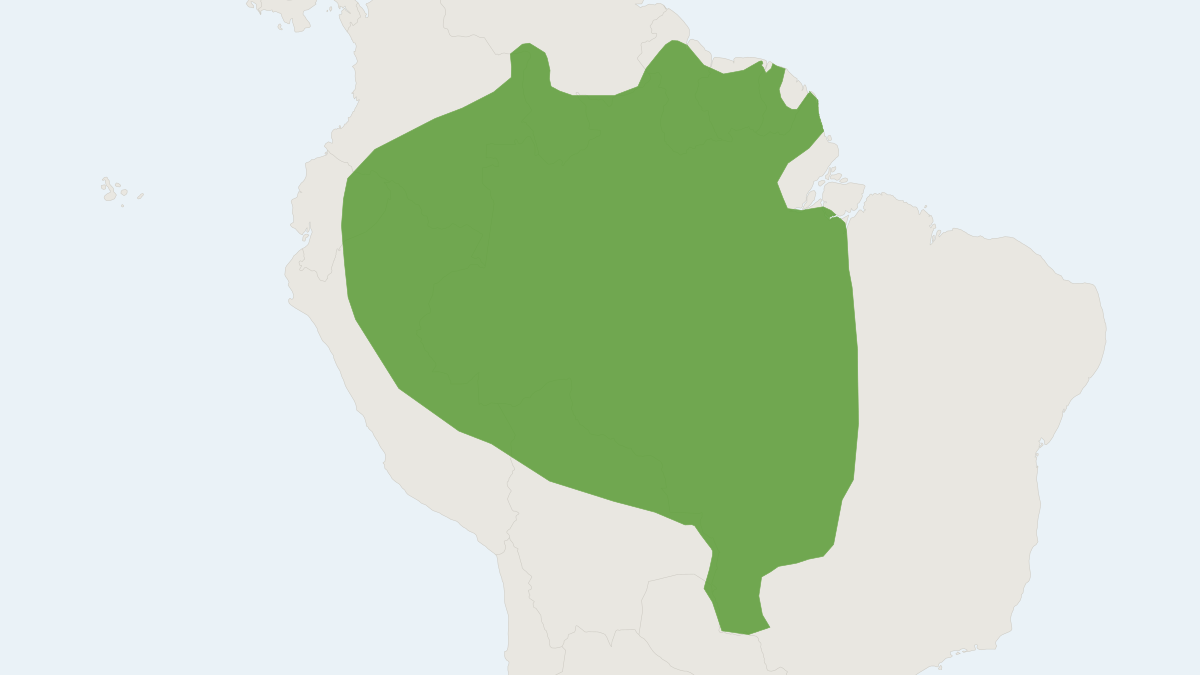 Range map of the Giant Otter (Pteronura brasiliensis) covering Argentina, Bolivia and Brazil