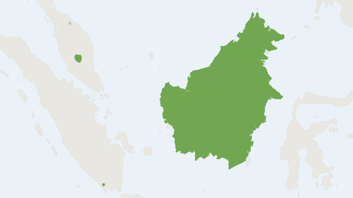 Range map of the Gilded Tube-nosed Bat (Murina rozendaali)