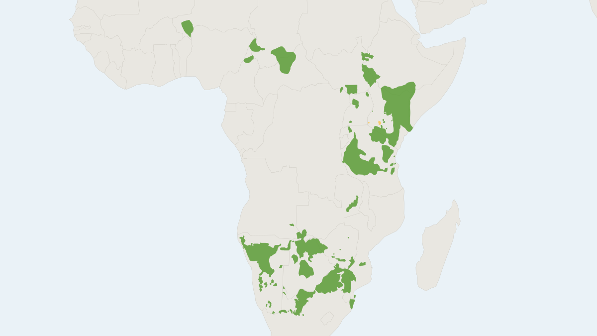 Range map of the Giraffe (Giraffa camelopardalis) covering Botswana, Cameroon and Chad