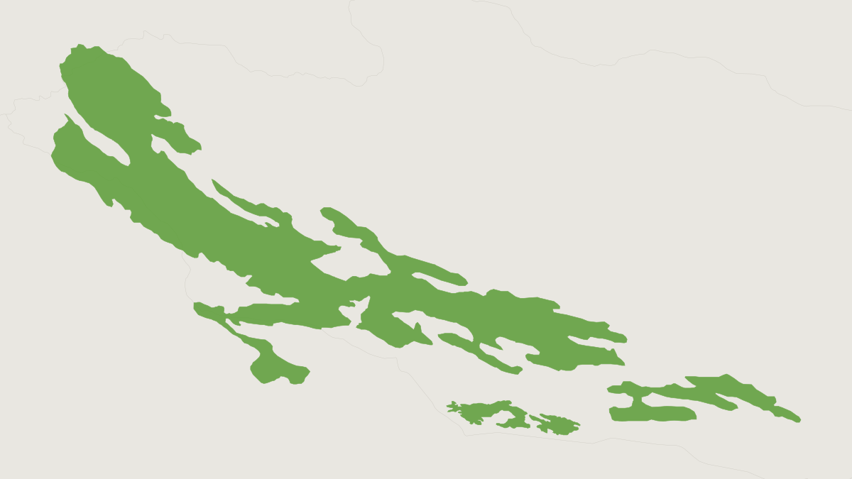 Range map of the Gobi Altai Mountain Vole (Alticola barakshin) covering China and Mongolia