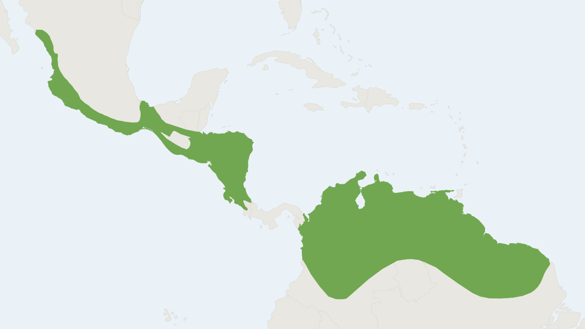 Range map of the Godman's Long-tailed Bat (Choeroniscus godmani) covering Belize, Colombia and Costa Rica