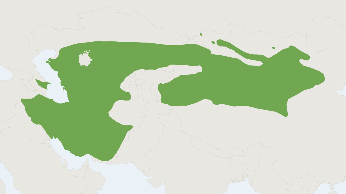 Range map of the Goitered Gazelle (Gazella subgutturosa)