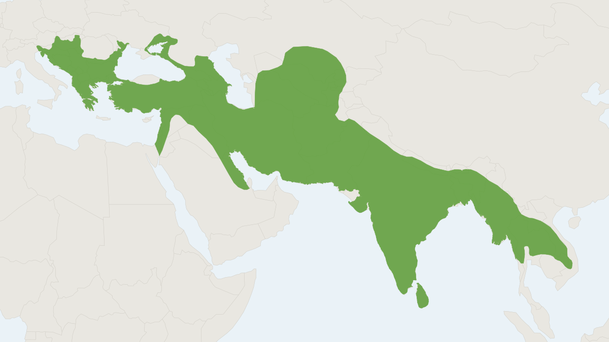 Range map of the Golden Jackal (Canis aureus) covering Austria, Bangladesh and Egypt