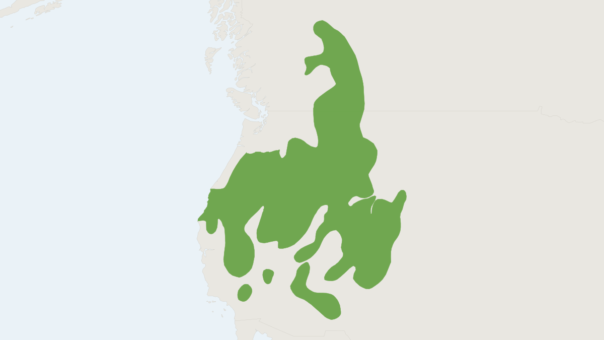 Range map of the Golden Mantled Ground Squirrel (Callospermophilus lateralis)