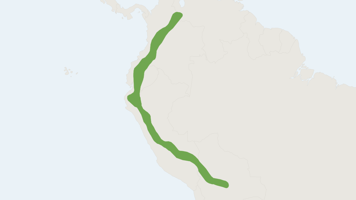 Range map of the Golden Oldfield Mouse (Thomasomys aureus)