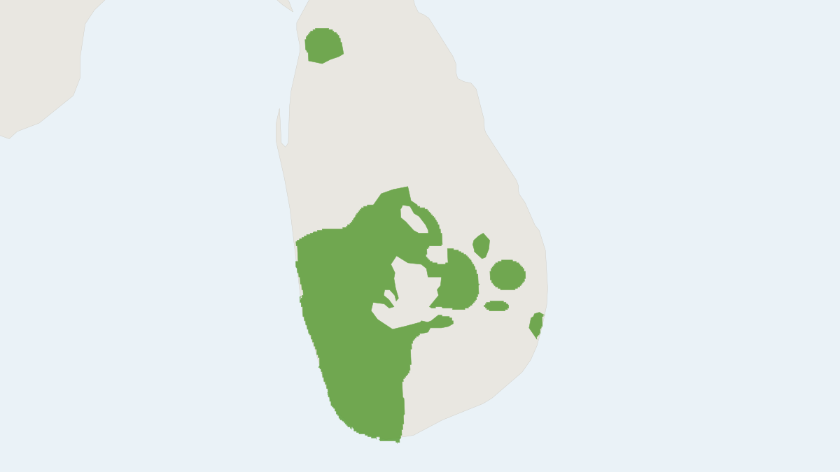 Range map of the Golden Palm Civet (Paradoxurus zeylonensis)