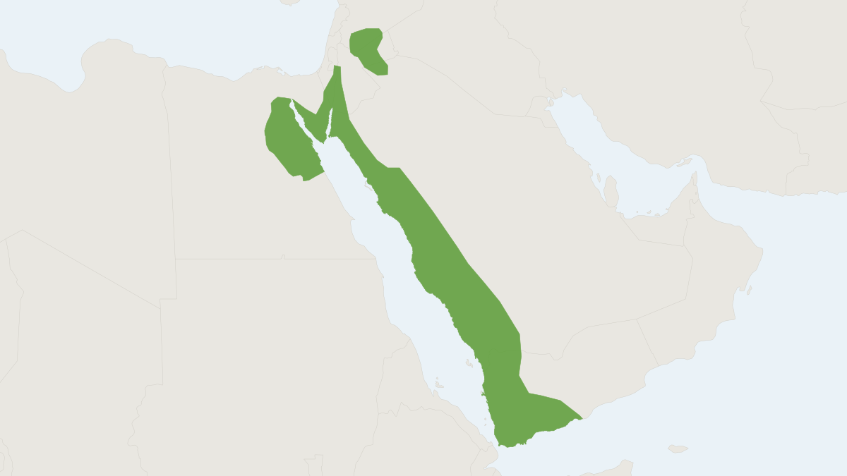 Range map of the Golden Spiny Mouse (Acomys russatus) covering Egypt, Eritrea and Ethiopia