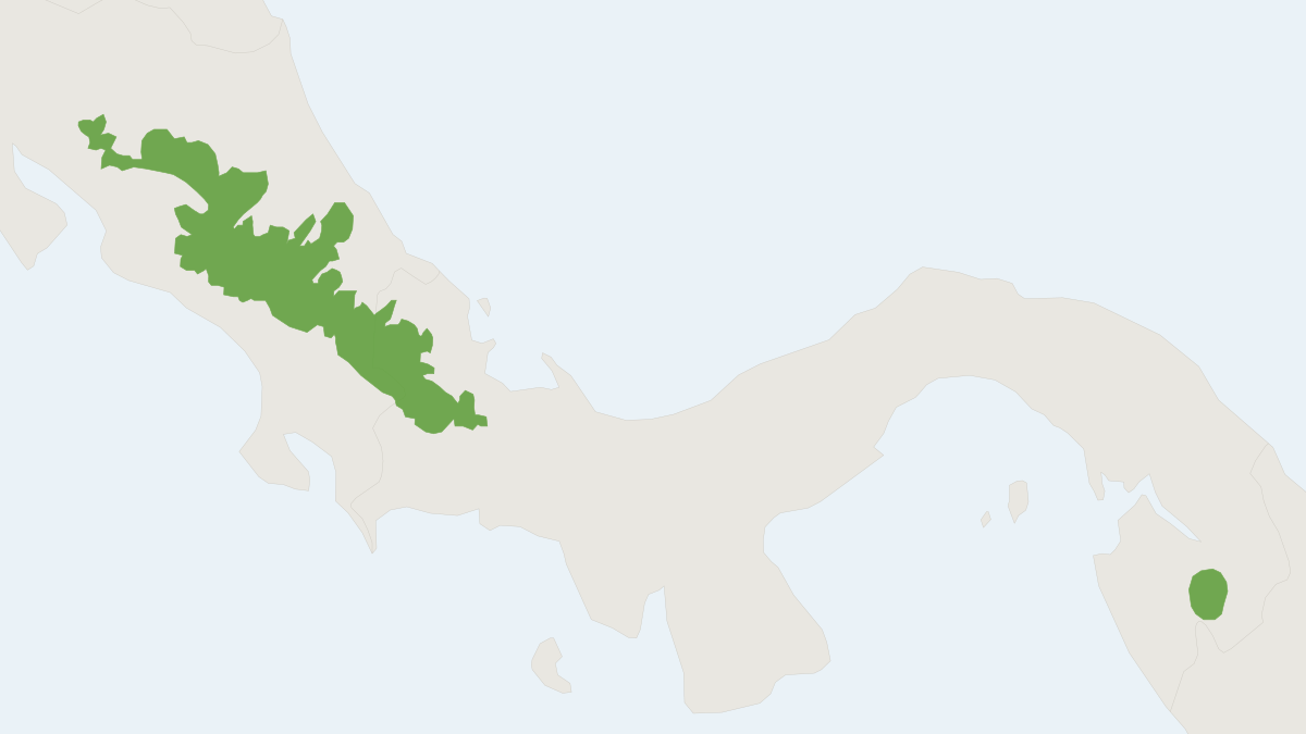 Range map of the Goldman's Water Mouse (Rheomys raptor)