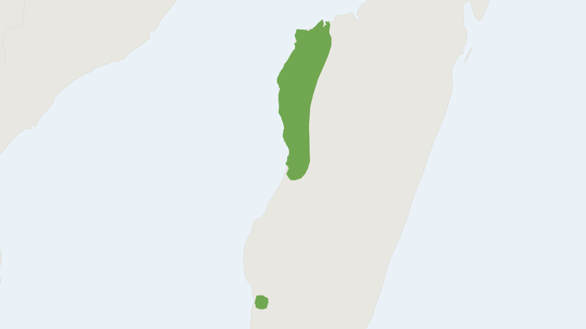 Range map of the Grandidier's Shrew Tenrec (Microgale grandidieri)