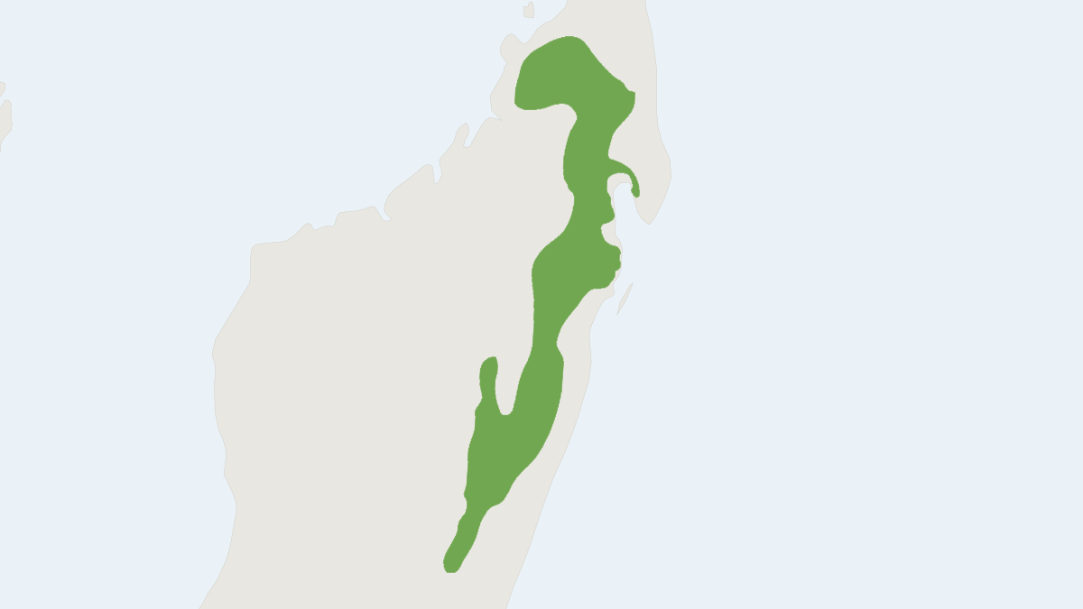 Range map of the Grandidier's Tuft-tailed Rat (Eliurus grandidieri)