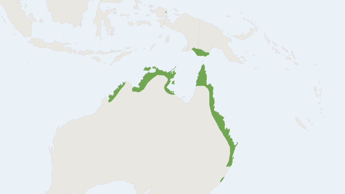 Range map of the Grassland Melomys (Melomys burtoni)