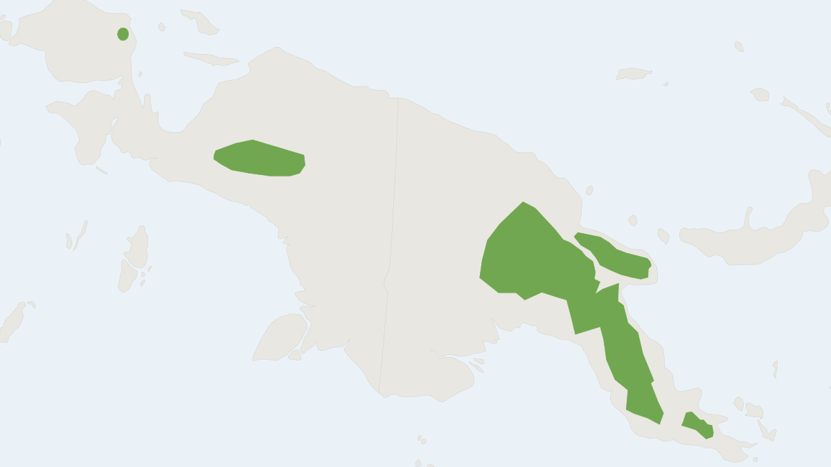 Range map of the Gray-bellied Tree Mouse (Pogonomys sylvestris)