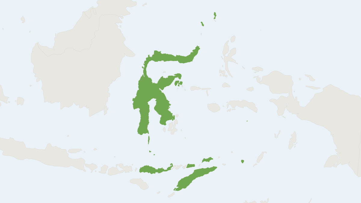 Range map of the Gray Flying Fox (Pteropus griseus)