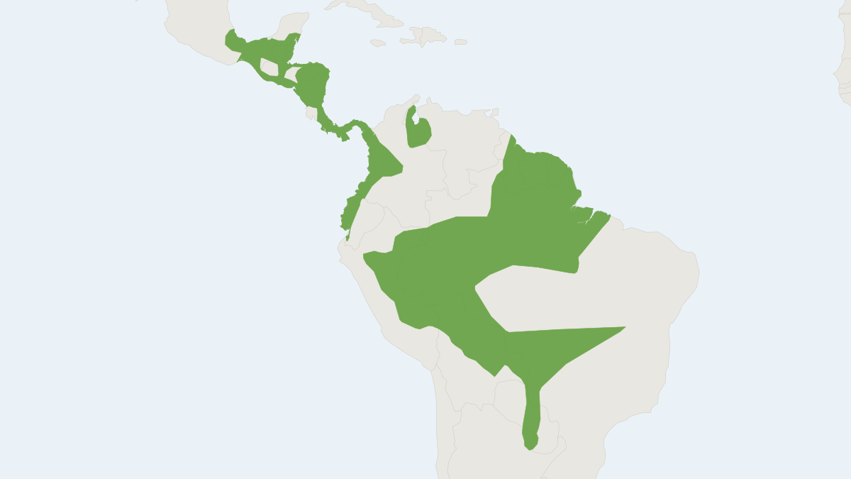 Range map of the Gray Four-eyed Opossum (Philander opossum)