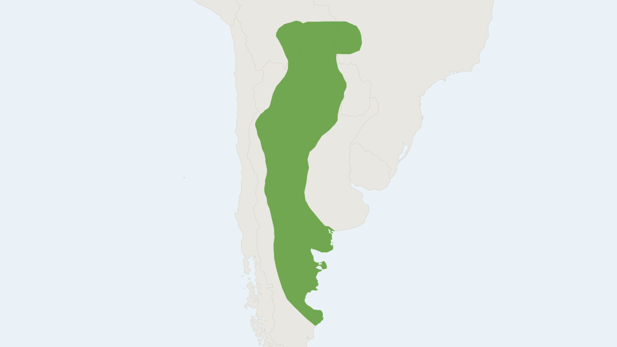 Range map of the Gray Leaf-eared Mouse (Graomys griseoflavus)