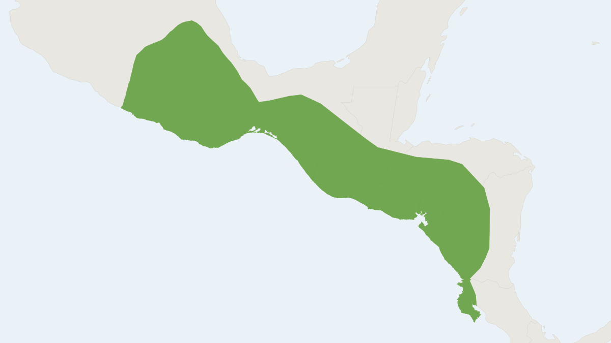 Range map of the Gray Long-tongued Bat (Glossophaga leachii)