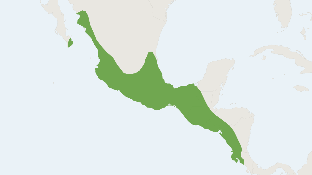 Range map of the Gray Sac-winged Bat (Balantiopteryx plicata) covering Colombia, Costa Rica and El Salvador