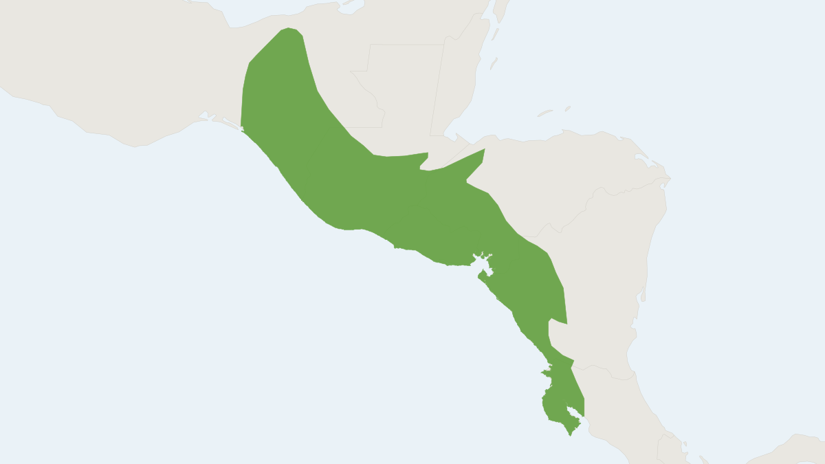 Range map of the Gray Short-tailed Bat (Carollia subrufa) covering Belize, Colombia and Costa Rica