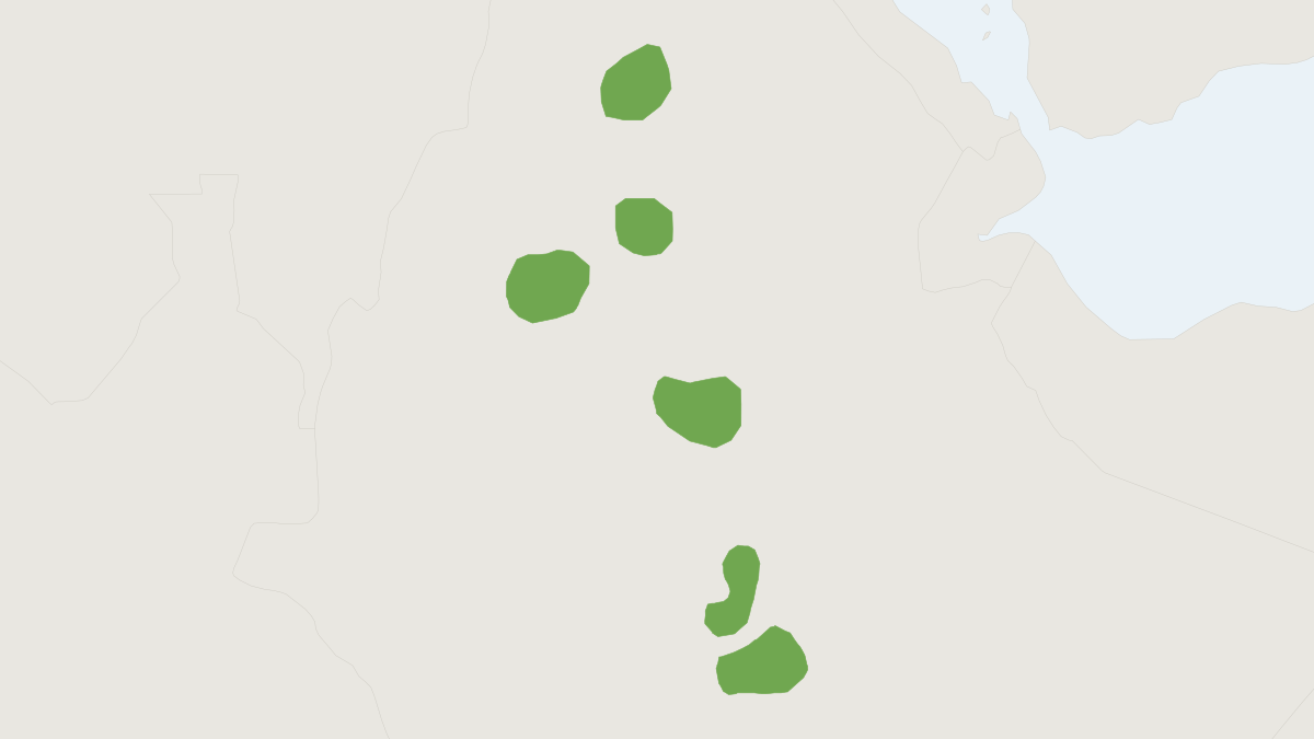 Range map of the Gray-tailed Narrow-headed Rat (Stenocephalemys griseicauda)