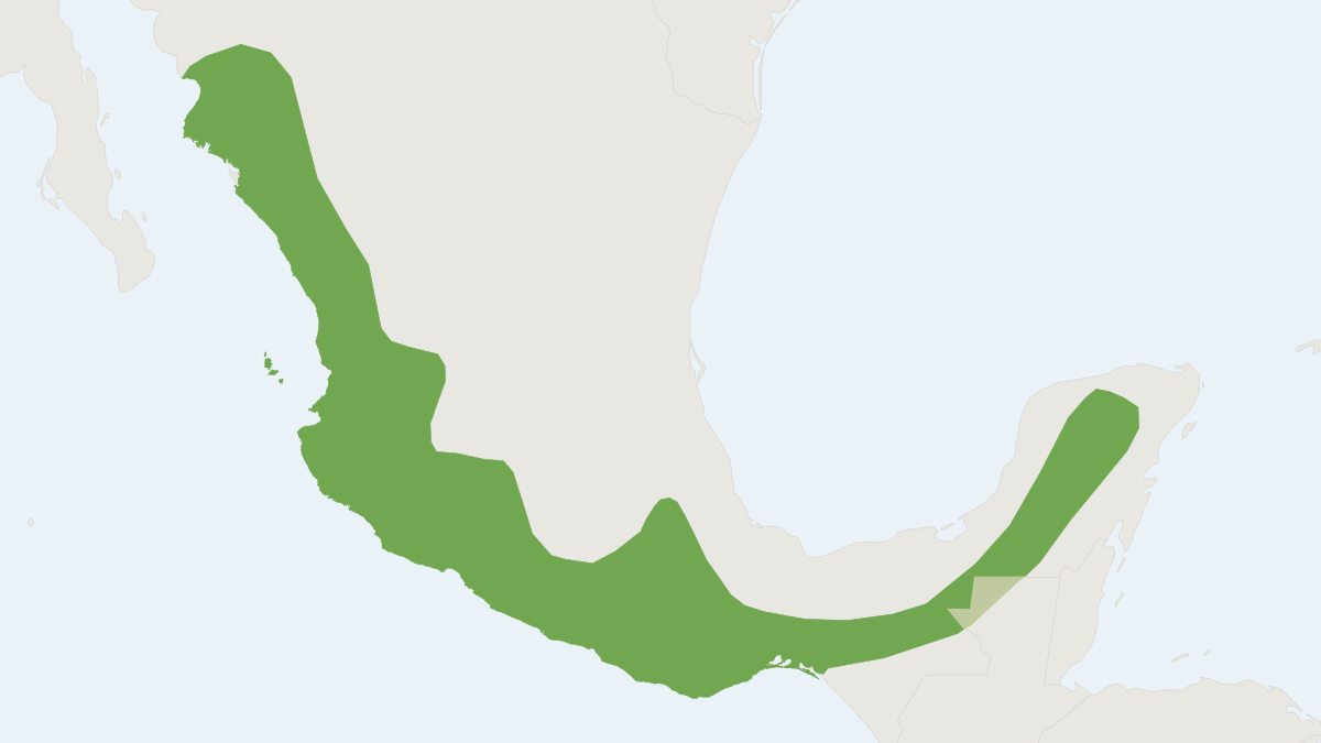Range map of the Grayish Mouse Opossum (Tlacuatzin canescens)