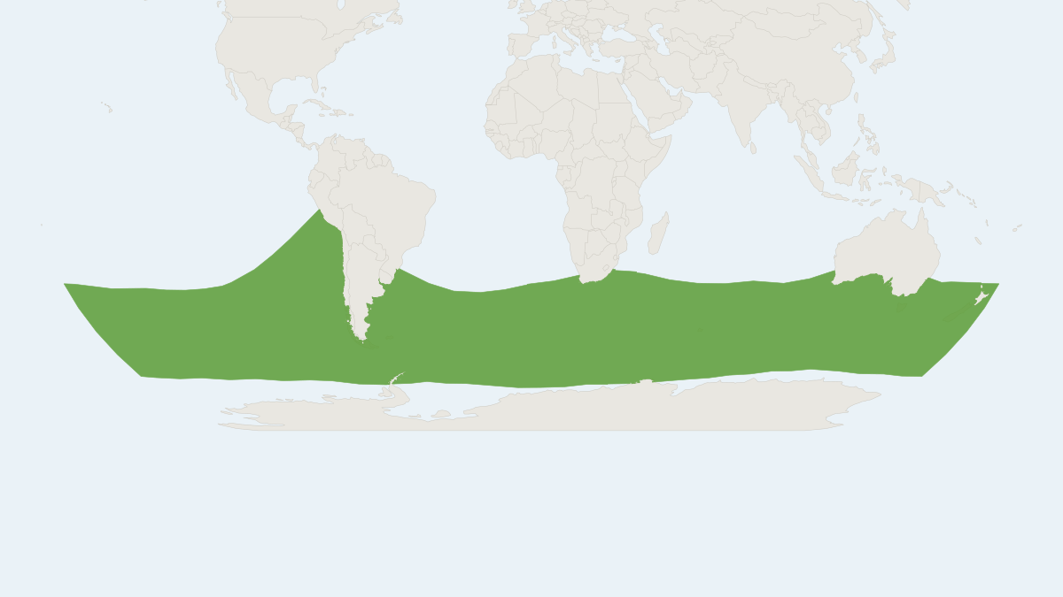 Range map of the Gray's Beaked Whale (Mesoplodon grayi)