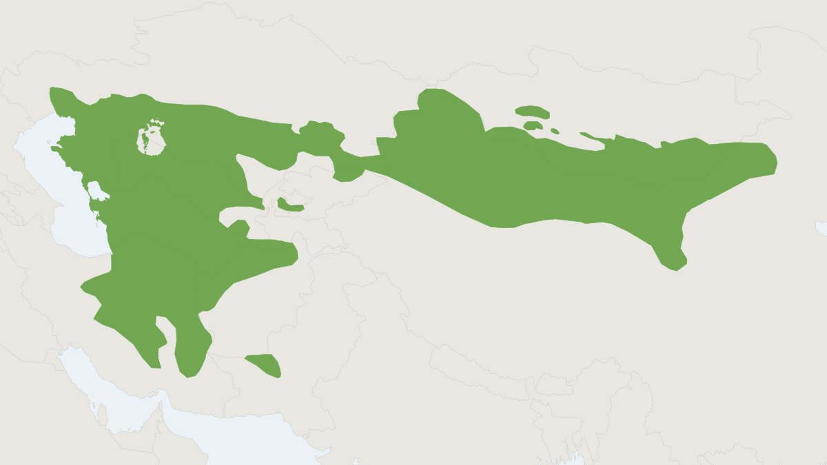 Range map of the Great Gerbil (Rhombomys opimus)