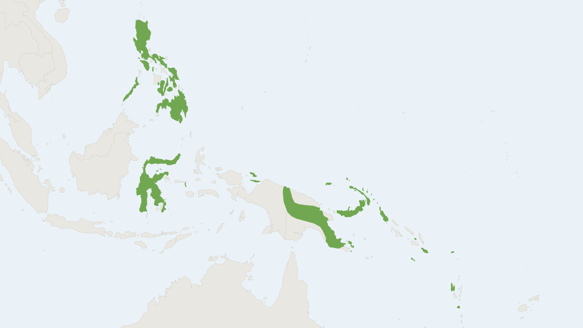 Range map of the Great Long-fingered Bat (Miniopterus tristis)