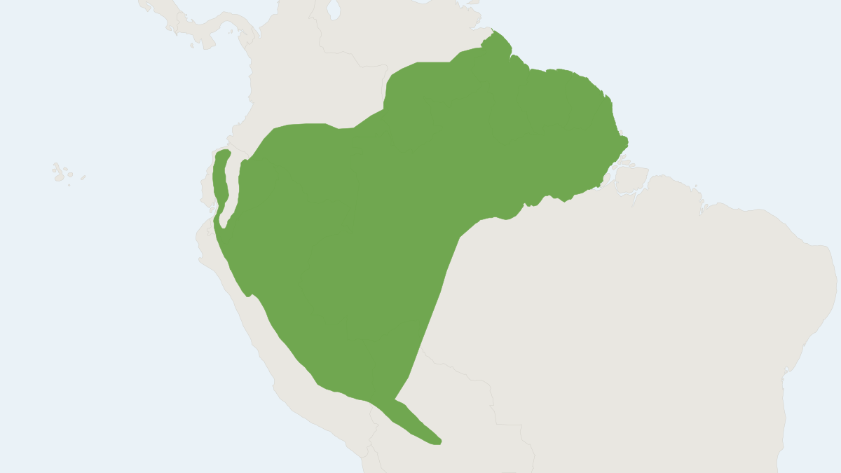 Range map of the Great Rhipidomys (Rhipidomys leucodactylus)