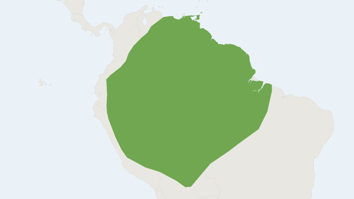 Range map of the Great Stripe-faced Bat (Vampyrodes caraccioli)