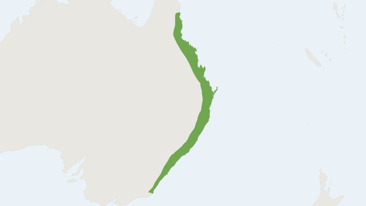 Range map of the Greater Broad-nosed Bat (Scoteanax rueppellii)