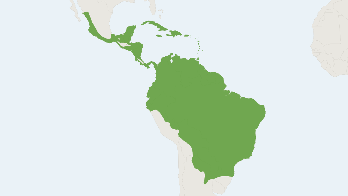 Range map of the Greater Bulldog Bat (Noctilio leporinus)