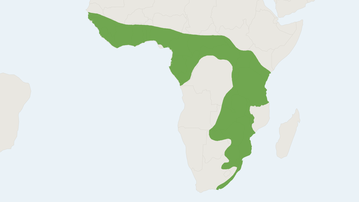 Range map of the Greater Cane Rat (Thryonomys swinderianus)
