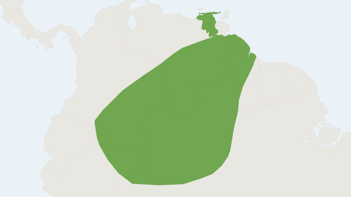 Range map of the Greater Ghost Bat (Diclidurus ingens)