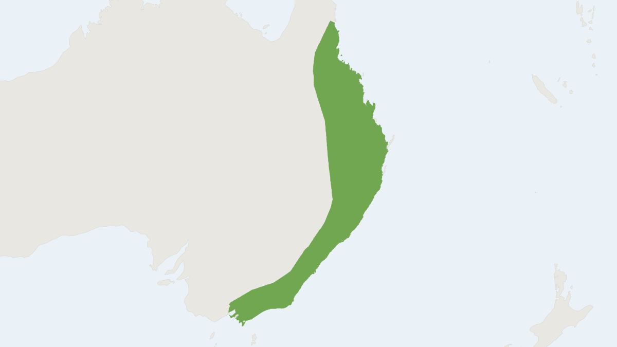 Range map of the Greater Glider (Petauroides volans)