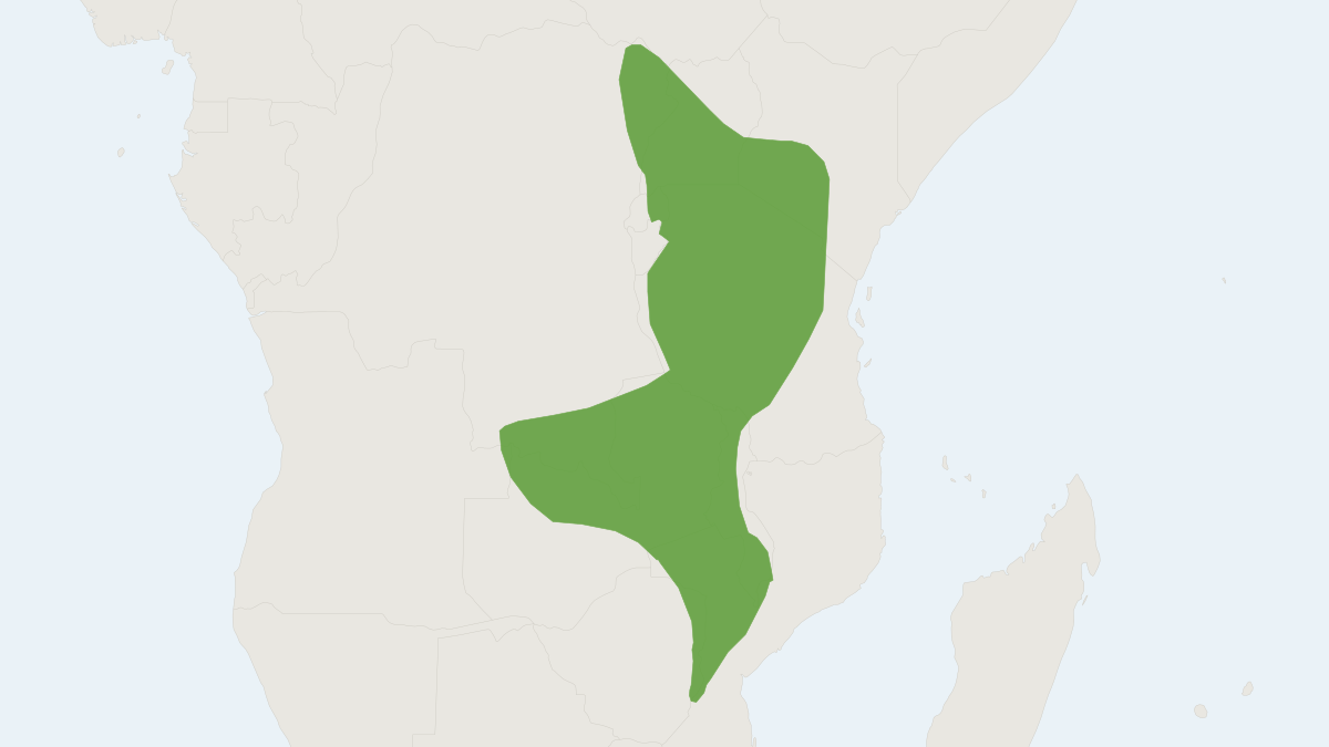 Range map of the Greater Gray-brown Musk Shrew (Crocidura luna)