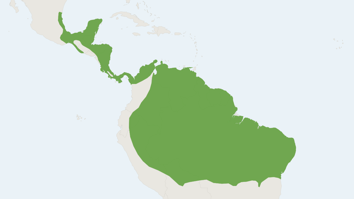 Range map of the Greater Grison (Galictis vittata)