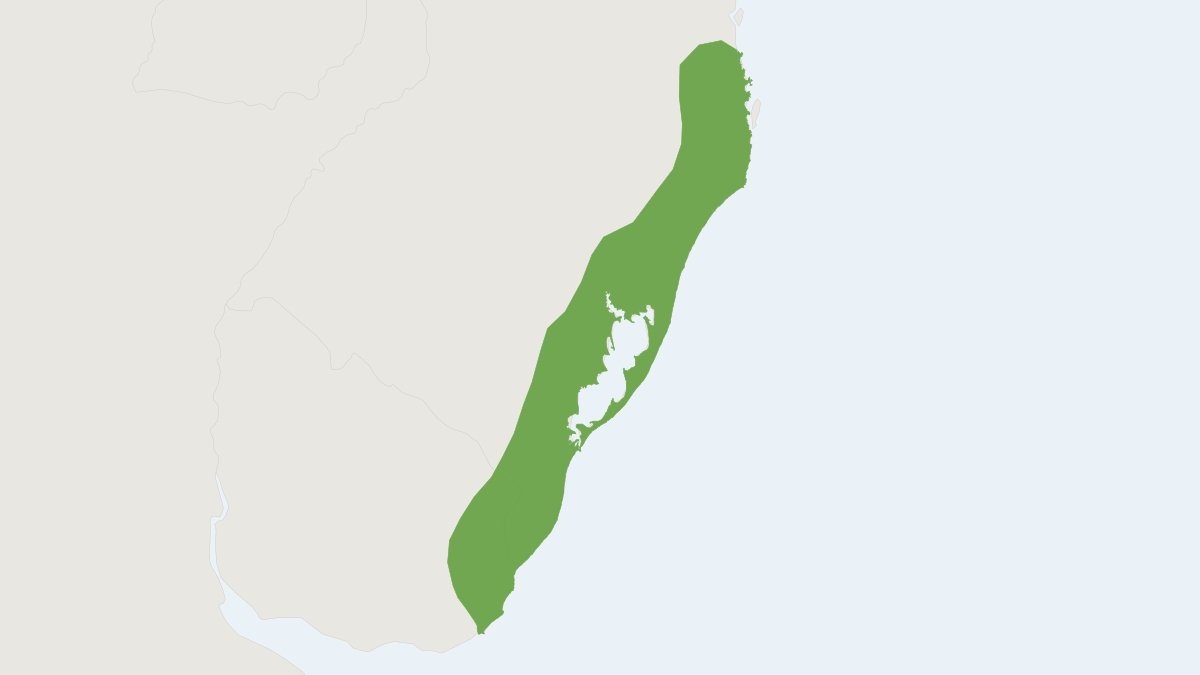 Range map of the Greater Guinea Pig (Cavia magna) covering Brazil and Uruguay