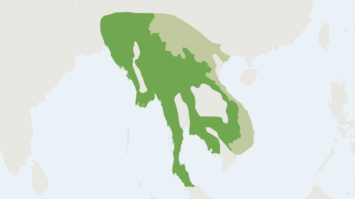 Range map of the Greater Hog Badger (Arctonyx collaris)