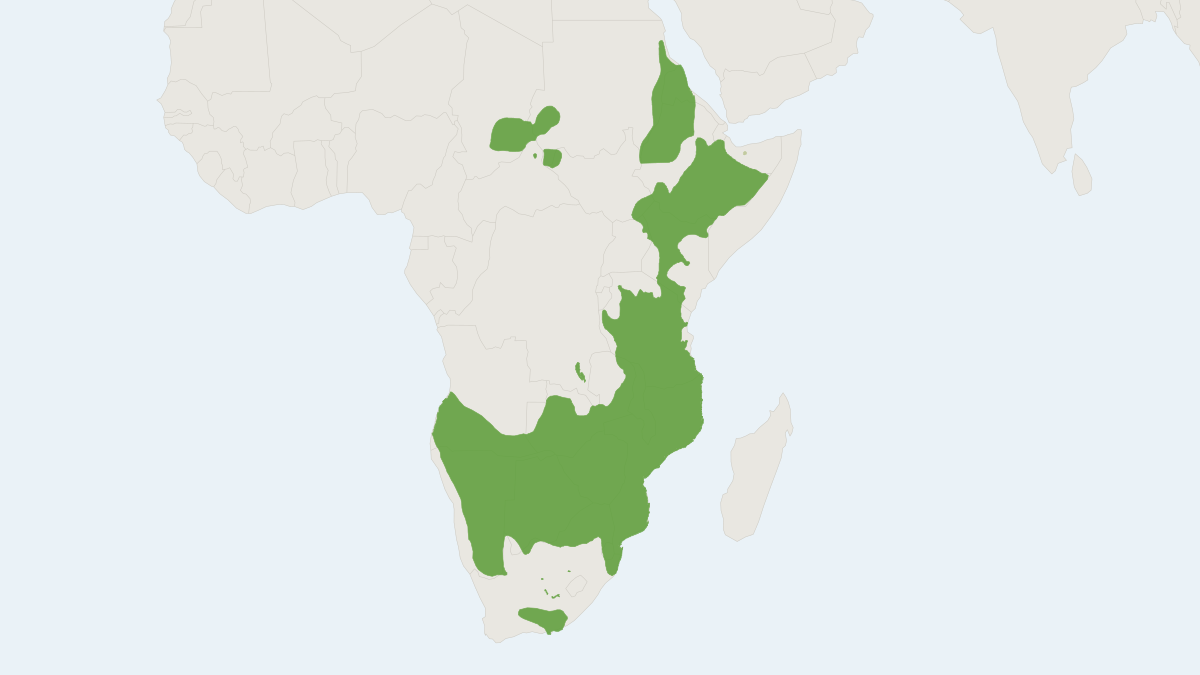 Range map of the Greater Kudu (Tragelaphus strepsiceros) covering Botswana, Chad and Ethiopia
