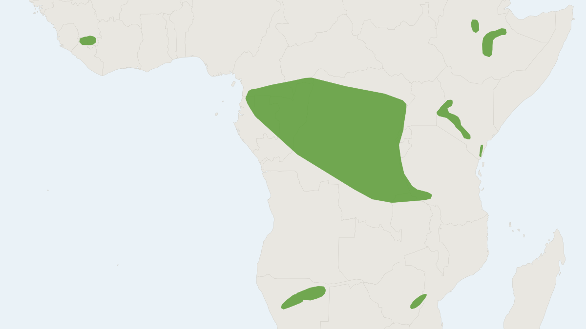 Range map of the Greater Long-fingered Bat (Miniopterus inflatus)