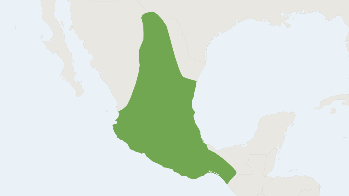 Range map of the Greater Long-nosed Bat (Leptonycteris nivalis)