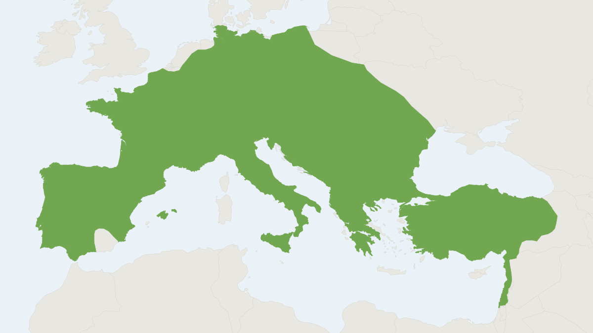 Range map of the Greater Mouse-eared Bat (Myotis myotis)