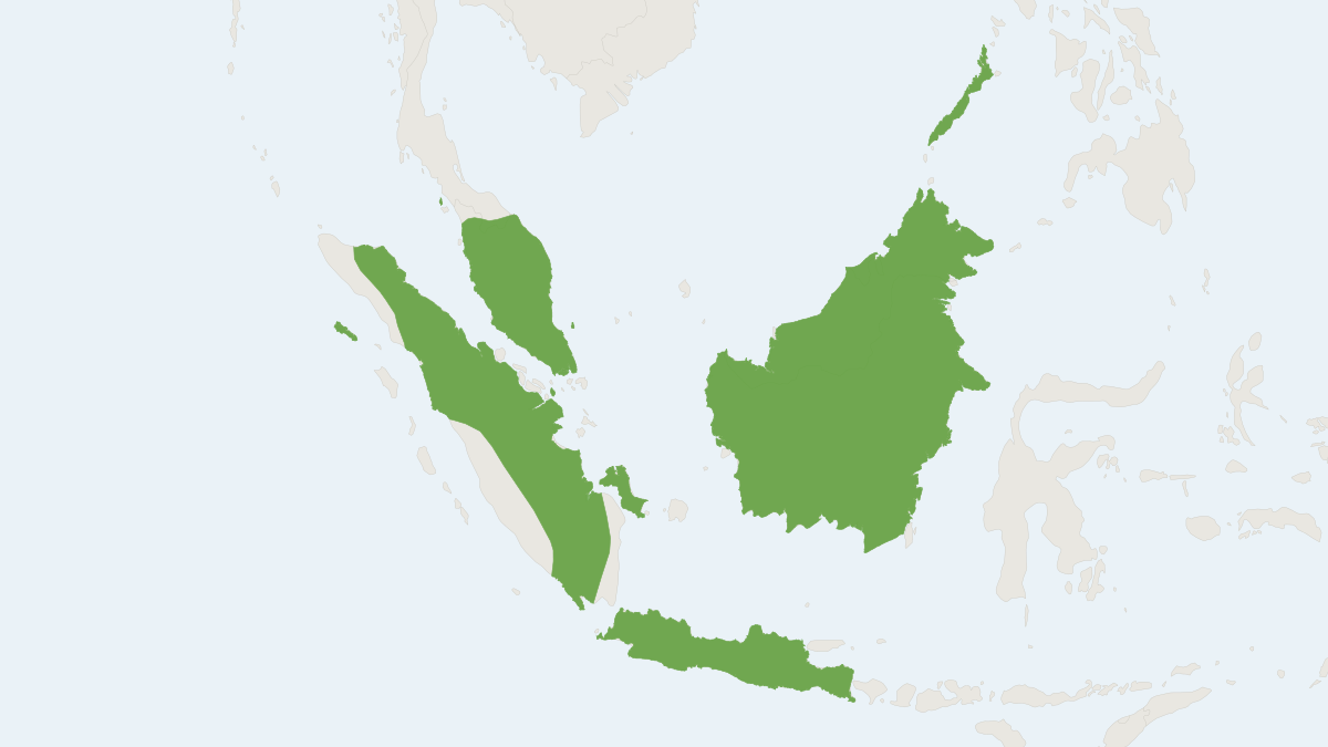 Range map of the Greater Naked Bat (Cheiromeles torquatus) covering Brunei, Indonesia and Malaysia