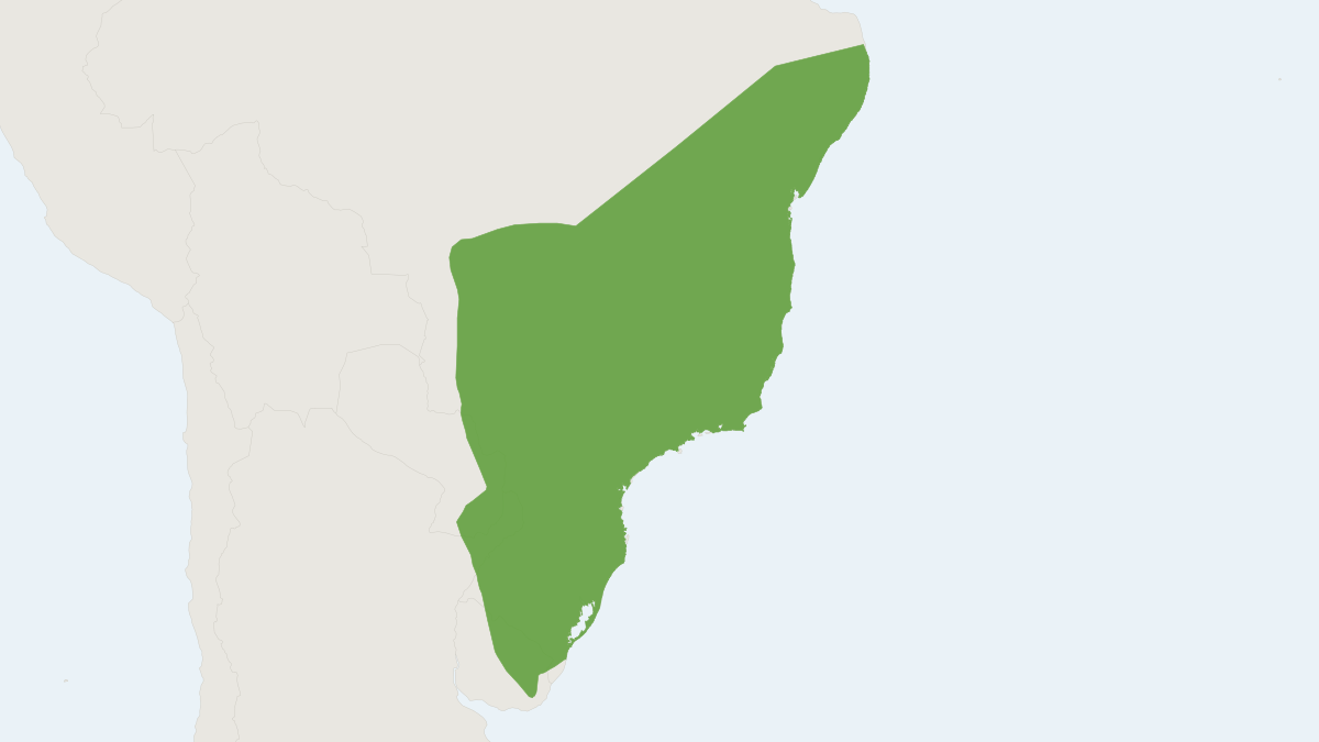 Range map of the Greater Naked-tailed Armadillo (Cabassous tatouay) covering Argentina, Brazil and Paraguay
