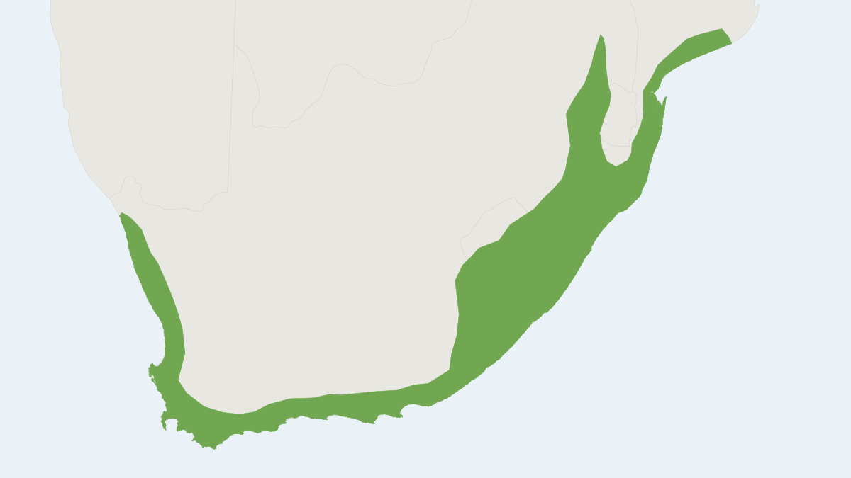 Range map of the Greater Red White-toothed Shrew (Crocidura flavescens) covering Lesotho, Mozambique and South Africa