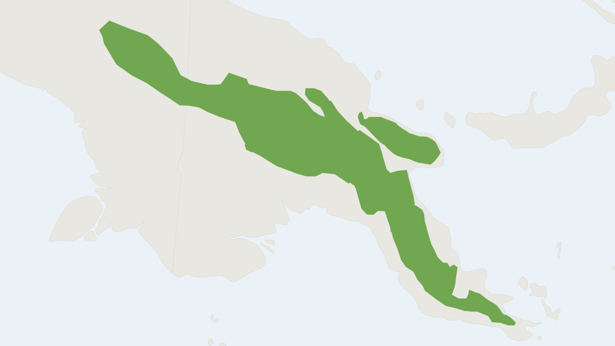 Range map of the Greater Small-toothed Rat (Macruromys major)