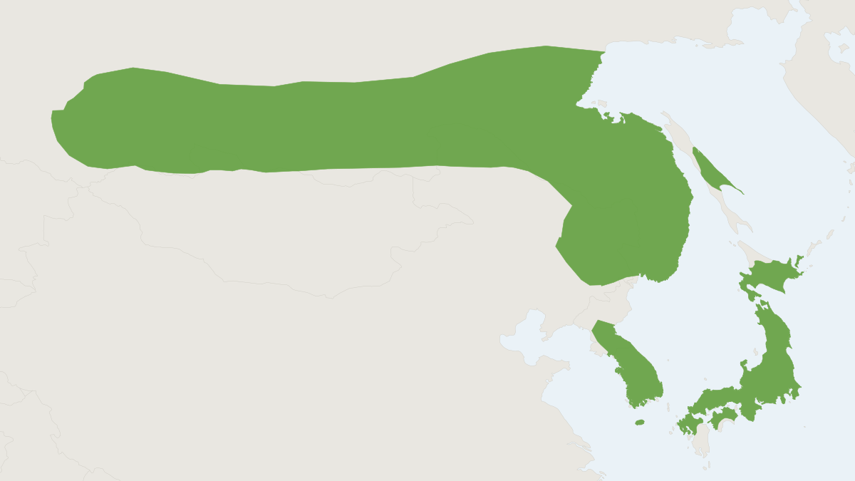 Range map of the Greater Tube-nosed Bat (Murina hilgendorfi)