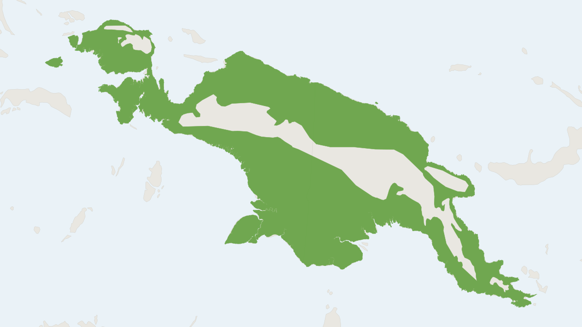 Range map of the Greater Tube-nosed Bat (Nyctimene aello)