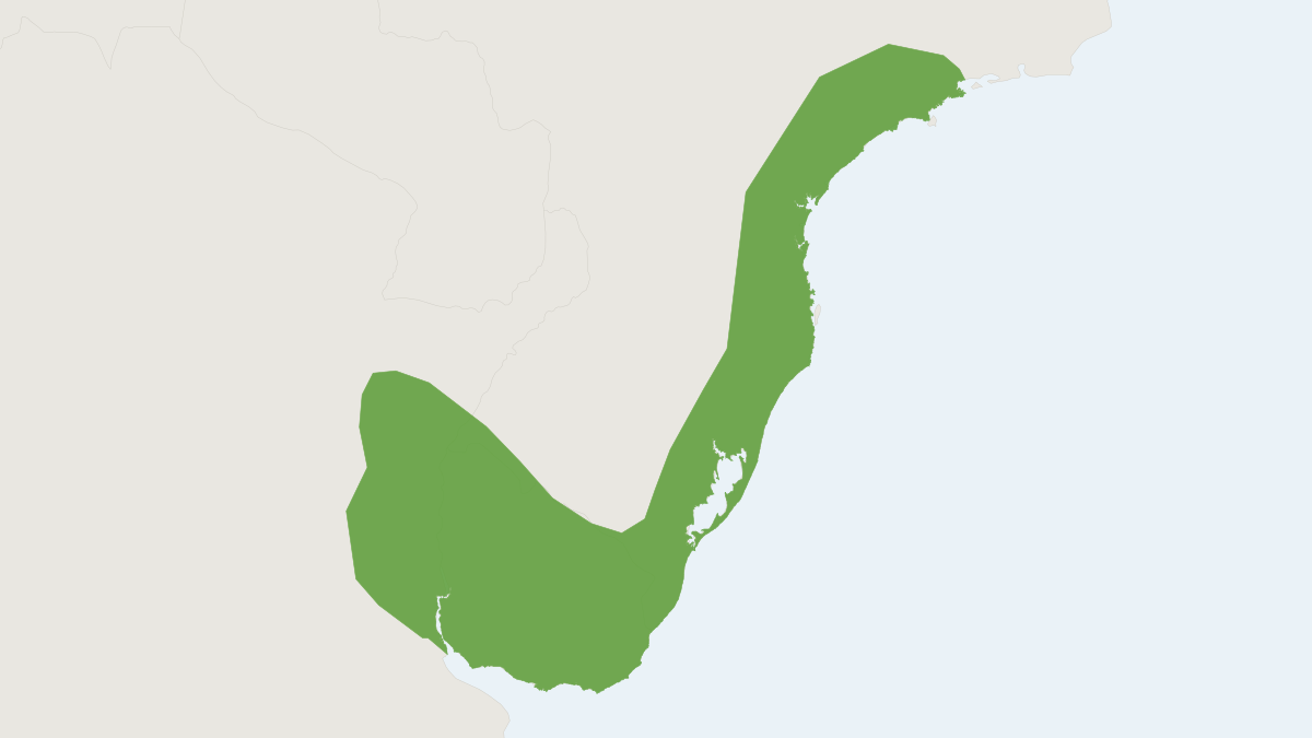 Range map of the Greater Wilfred's Mouse (Wilfredomys oenax)